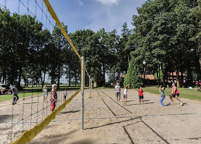 酒店 贝尔蒙特酒店